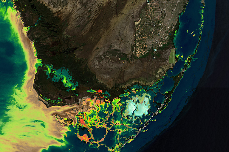 Sentinel-2 satellite image over Florida